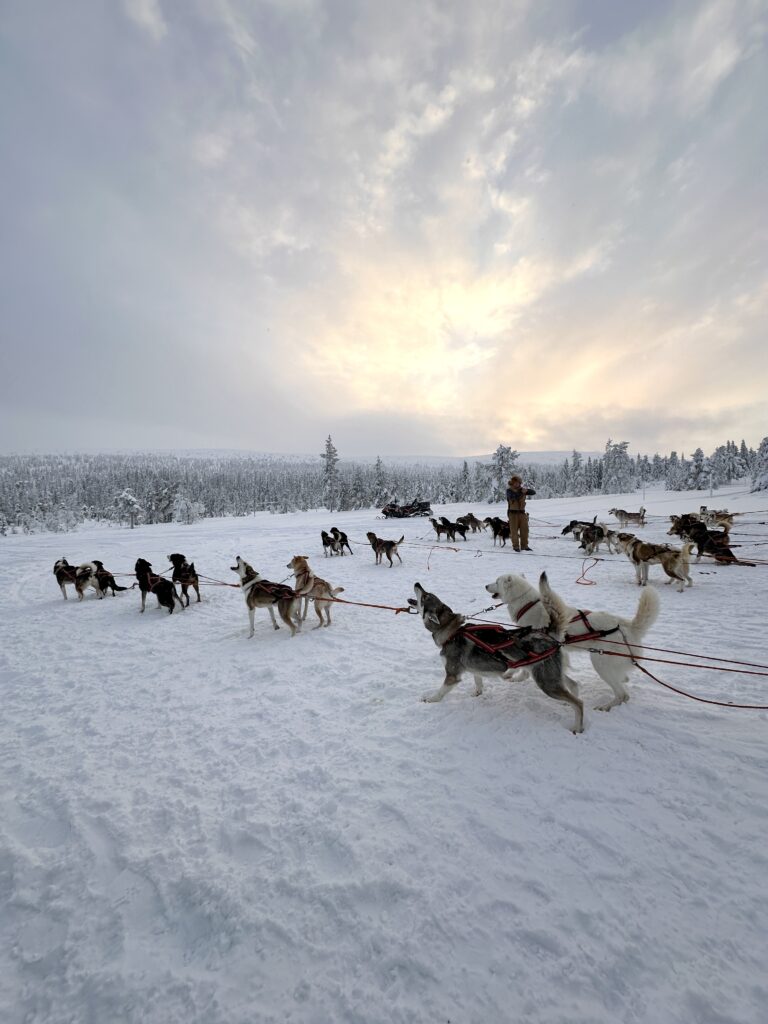 Scandinavian Mountains