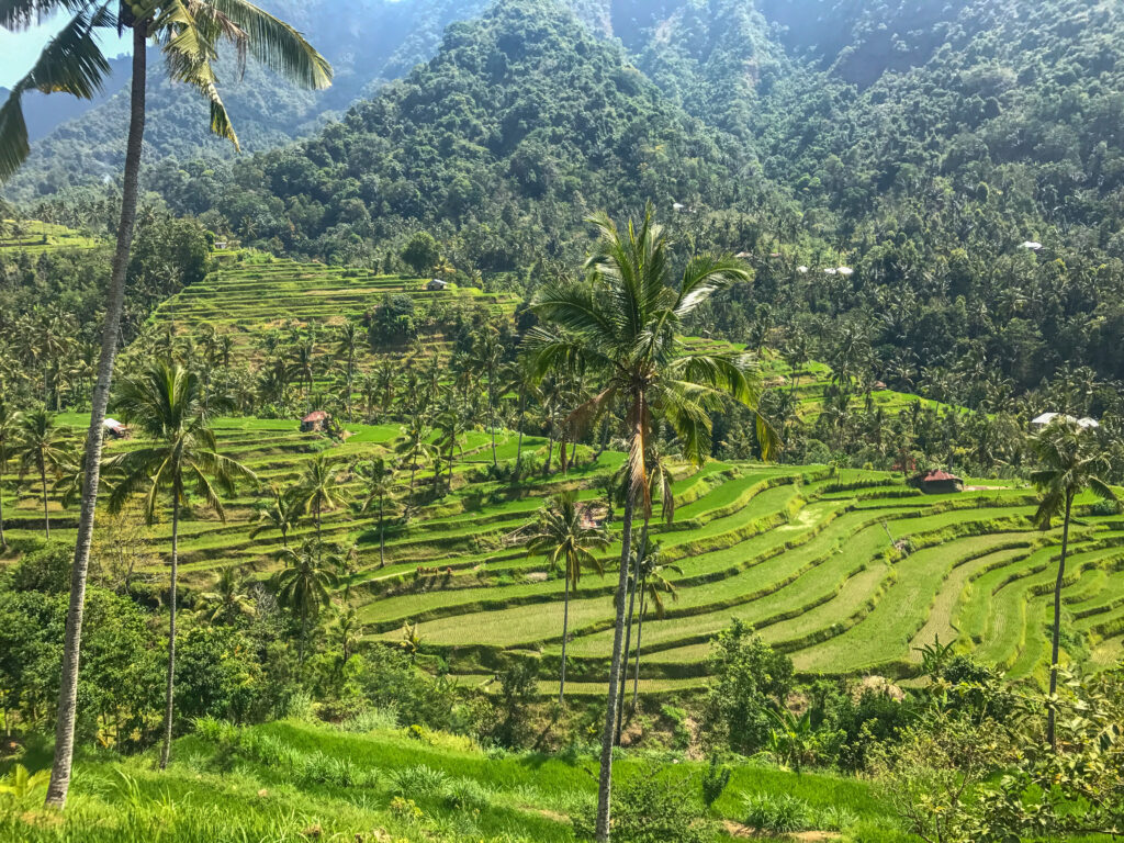 Bali